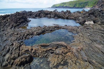 三宅島の潮だまり