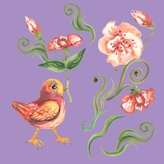 A bird with an anemone flower in its beak. On a purple background flowers and plants.