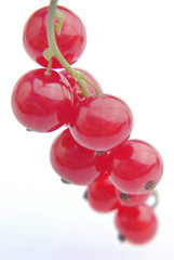 Fresh redcurrant with leaf on white background