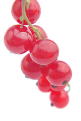 Fresh redcurrant with leaf on white background