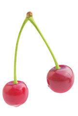 Cherry. Cherries isolated on a white background
