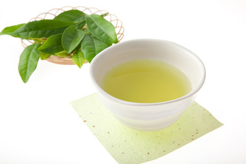 　新茶　茶葉の新芽
