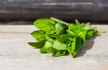 bouquet of green fresh mint on wooden surface in sunlight with copy space