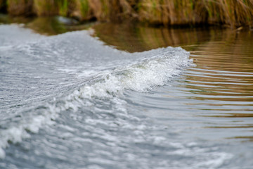 Amazing Danube Delta