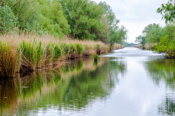 Amazing Danube Delta