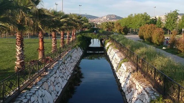 Jungle in the Nature - City