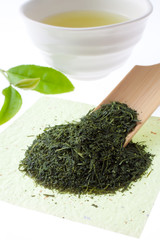 　新茶　茶葉の新芽