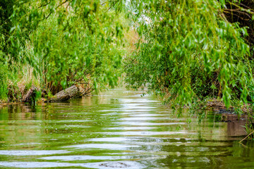 Amazing Danube Delta
