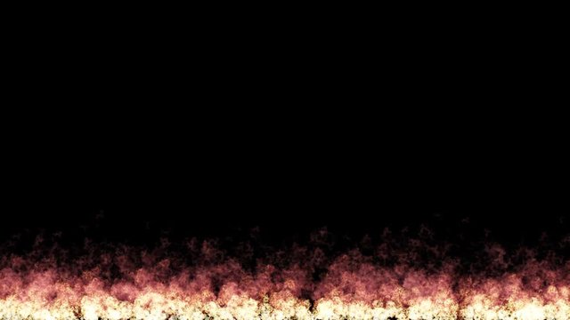 Fire flames on a black background