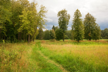 Fototapeta na wymiar Summer landscape. Footpath going through the field along the edge of the forest