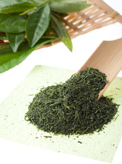 　新茶　茶葉の新芽