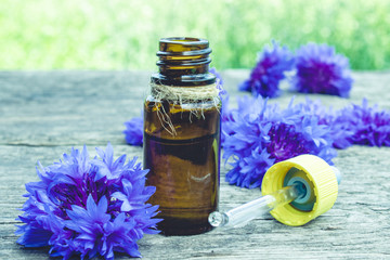 Obraz na płótnie Canvas Cornflower essential oil. Cornflower flowers