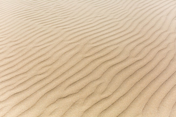 Fototapeta na wymiar ripples in the sand