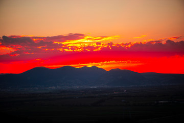 Flowers at the sunset