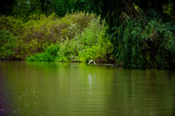 Danube Delta, Romania