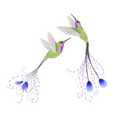Hummingbird isolated.Vector illustration. EPS 10