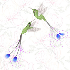 Seamless pattern with hummingbird.Vector illustration. EPS 10