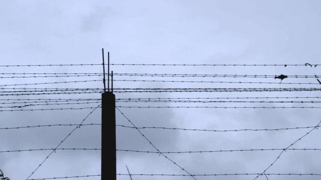 The barbwire fence of a prison camp on a gray and stormy day. With a piece of plastic caught in the wire and swaying in the wind