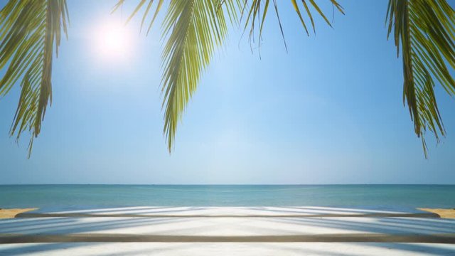 Tropical Island Vacation Idyllic Background. Exotic Beach And Palm Tree. Peaceful background of perfect sea shore for summer vacation. seamless loop