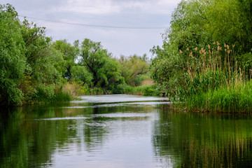 Danube Delta, Romania