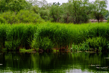 Danube Delta, Romania