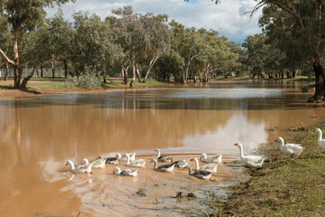 the central western Queensland town of Morven and Sadliers waterhole.