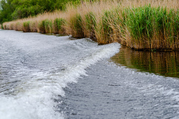 Danube Delta, Romania