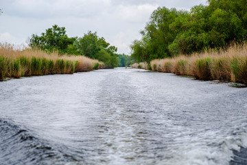 Danube Delta, Romania
