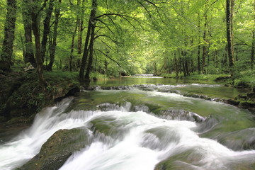 Petites cascades le long de la Loue sur le circuit de la source de la Loue dans le Doubs (France)