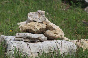 Natur im Biosphärengebiet Reutlingen