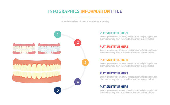 human tooth or teeth infographic template concept with five points list and various color with clean modern white background - vector
