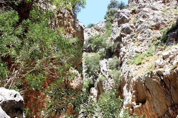 Kreta, Kritsa,Schluchtwanderung