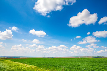 Obraz premium White clouds and blue sky