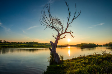 Amazing Danube Delta