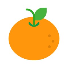 Orange vector, Chinese lunar new year flat style icon