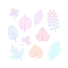 Set leaves. Vector illustration. EPS 10