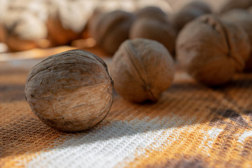 Walnuts closeup on a towel on a sunny day