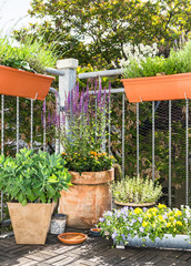 Balkon3105b