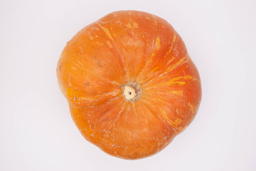 Ripe orange pumpkin, side view, on a light background