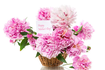 bouquet of blooming peonies on white background