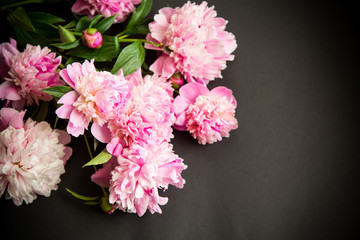 bouquet of blooming peonies on black background