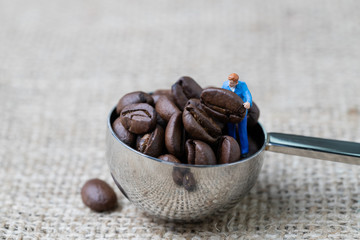 Coffee beans business expert or professional concept, miniature people figurine staff holding roasted coffee bean on spoon with full of beans on gunny bag, selecting best quality