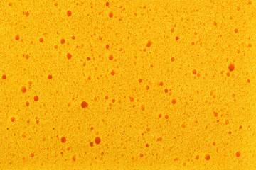 Yellow sponge detail texture, sponge texture background.
