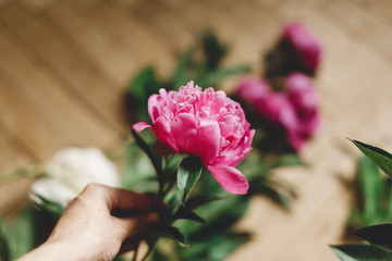 Hand holding beautiful pink peony and  bouquet in glass jar on rustic wooden floor. Floral decor and arrangement. Gathering flowers. Rural still life, countryside