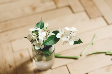 Beautiful jasmine flowers on branch in glass jar on rustic old wooden floor, copy space. Floral decor and arrangement. Gathering flowers. Rural still life, countryside.