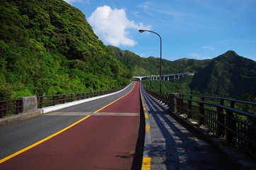 八丈島の道