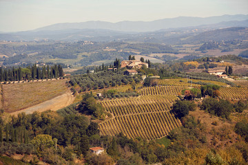 Fototapeta na wymiar Tuscan panoramic banner landscape with vineyards, houses in Tuscany, Italy, Europe.