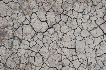 Dried cracked earth soil ground texture background. Mosaic pattern of sunny dried earth soil