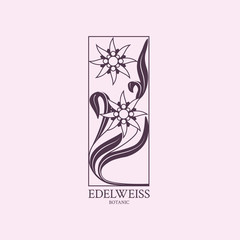 Edelweiss logo. Flower design of the logo with a hand-drawn flower of Edelweiss