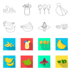 Vector design of natural and vegetarian icon. Collection of natural and eating stock symbol for web.